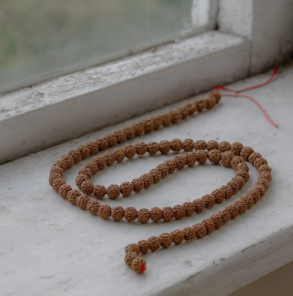 Rudraksha Holzperlenstrang 8,5 - 9 x 8 mm camel (ca. 110 Perlen / ca. 95 cm Länge)