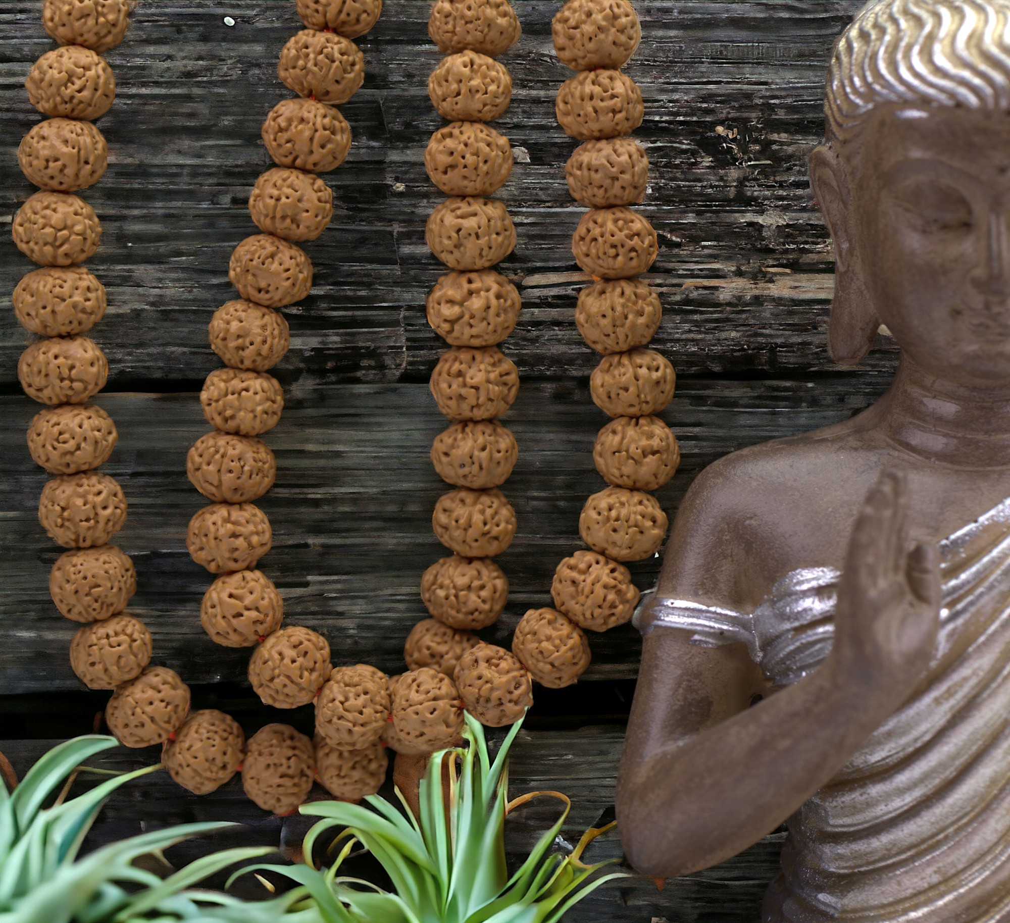Rudraksha Holzperlenstrang 8,5 - 9 x 8 mm camel (ca. 110 Perlen / ca. 95 cm Länge)