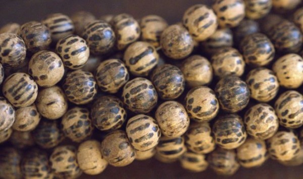 Natürlicher ungefärbter heller Bodhi Holzperlenstrang 9 x 8 mm (ca. 100 Perlen / ca. 80 cm Länge)